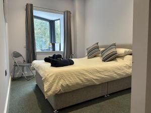 a dog laying on a bed in a bedroom at No 5 Ocean Cabins - Saundersfoot Harbour - Saundersfoot in Saundersfoot