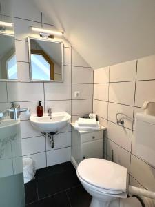 a bathroom with a toilet and a sink at Reibersdorfer Hof in Parkstetten