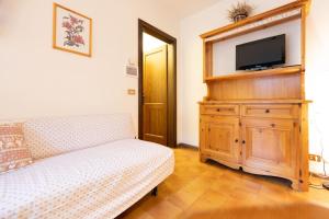 a living room with a couch and a flat screen tv at Cesa Alpes 3 in Campitello di Fassa
