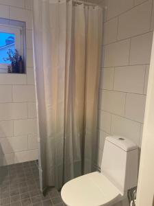 y baño con aseo y ducha. en Tingsgatan24, en Årjäng