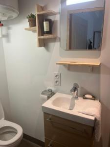 La salle de bains est pourvue d'un lavabo, de toilettes et d'un miroir. dans l'établissement Le Bjorn - T1 chaleureux refait à neuf - Centre, à Niort