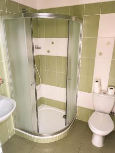a bathroom with a shower and a toilet at JP ubytování Loštice in Loštice