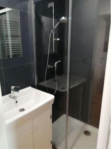 a bathroom with a shower with a sink and a shower head at The pop-art luxury suite in Charleroi