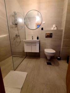 een badkamer met een douche, een toilet en een spiegel bij Stan na dan Krsmanovic in Čačak