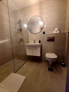 een badkamer met een toilet, een wastafel en een spiegel bij Stan na dan Krsmanovic in Čačak