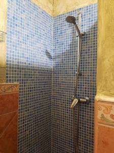 eine Dusche im Bad mit blauen Fliesen in der Unterkunft Finca La Parrilla Maison Piscine nature chevaux in Arcos de la Frontera