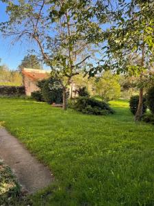 a field of green grass with a house and a tree at Location maison à Chadron : Haute Loire 