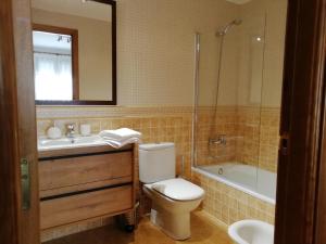 La salle de bains est pourvue de toilettes, d'un lavabo et d'une douche. dans l'établissement Apartamento familiar con vistas y garage La Portiecha, à Sallent de Gállego