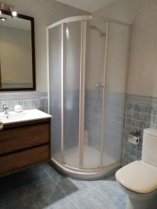 a bathroom with a shower and a toilet and a sink at Apartamento familiar con vistas y garage La Portiecha in Sallent de Gállego