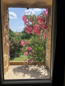 Zahrada ubytování Mazet Magnan, Rustic Luxury in Provence