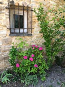 Zahrada ubytování Mazet Magnan, Rustic Luxury in Provence