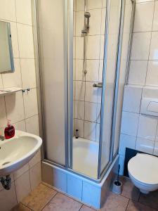 y baño con ducha, lavabo y aseo. en Waldhotel en Boizenburg