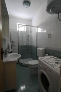 ein Bad mit einer Dusche, einem WC und einer Waschmaschine in der Unterkunft Casa Santo e Albina Rabac in Rabac