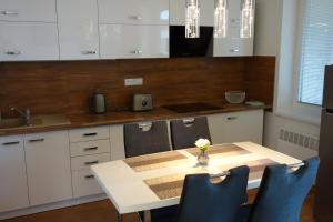 Kuchyň nebo kuchyňský kout v ubytování Apartmany Rubin Nesvady