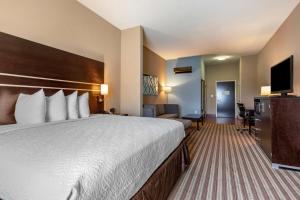 Postel nebo postele na pokoji v ubytování Best Western Plus North Odessa Inn & Suites