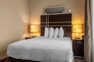 Postel nebo postele na pokoji v ubytování Best Western Plus North Odessa Inn & Suites
