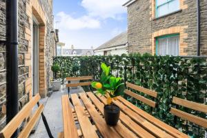 eine Holzbank mit einer Topfpflanze, die darauf sitzt in der Unterkunft Seafront apartment with balcony, parking and sea views in Aberystwyth
