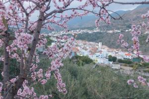 Fotografie z fotogalerie ubytování Villa alborada piscina privada v destinaci Guájar-Faragüit + 18 fotografií