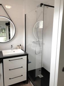 a bathroom with a shower with a sink and a mirror at Résidence Brocéliande in Saint Malo