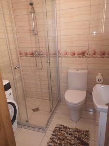a bathroom with a shower with a toilet and a sink at Kristinos apartment in Druskininkai
