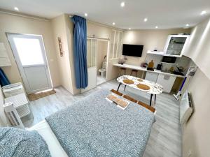 Televízia a/alebo spoločenská miestnosť v ubytovaní Toulouse : Studio équipé au cœur de St-Cyprien