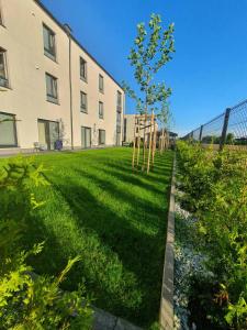 Hostel pracowniczy ORBITA في فولكا كوسوفسكا: ساحة خضراء فيها مبنى وشجرة