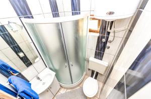 La salle de bains est pourvue de toilettes et d'une douche en verre. dans l'établissement Apartments Brezovka, à Novalja