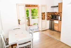 Kuchyň nebo kuchyňský kout v ubytování Apartments Brezovka