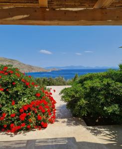 ogród z czerwonymi kwiatami i widokiem na ocean w obiekcie Tilos Villa w mieście Livadia