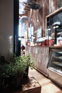Fotografie z fotogalerie ubytování Hotel & Café Bauda v destinaci Castro
