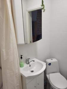 een badkamer met een wastafel, een toilet en een spiegel bij Old Town Apartment nr 2 in Valga