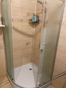 a shower with a glass door in a bathroom at Neuhausz Residenz Ultra-Central Apartment in Timişoara