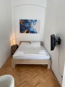 蒂米什瓦拉的住宿－Neuhausz Residenz Ultra-Central Apartment，一间小卧室,卧室内配有一张床铺
