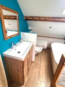 a bathroom with a sink and a toilet and a mirror at delille pere et fils in Albertville +10 photos