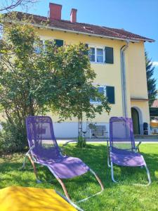 zwei lila Stühle im Gras vor einem Haus in der Unterkunft Sternenhimmel Gamlitz FeWo 3 SZ in Gamlitz