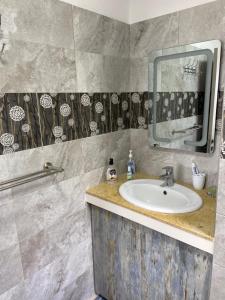 un bagno con lavandino e specchio di L'Heritage - Vue sur mer a Rodrigues Island Altre 37 foto