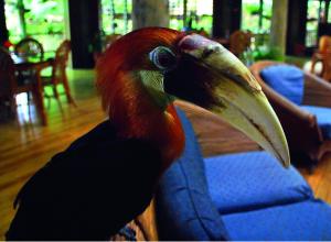 Fotografie z fotogalerie ubytování Tufi Resort v destinaci Tufi