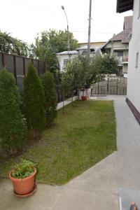 a yard with trees and plants in a fence at Camere Centrale in Piteşti