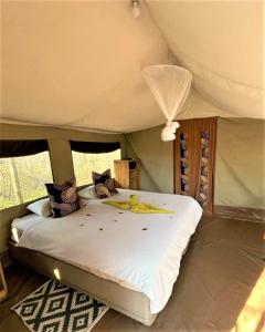 Una cama en una tienda con un plátano. en The Wild Olive Tree Camp, en Manyeleti Game Reserve