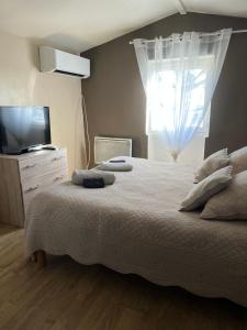 a bedroom with a bed and a television and a window at Appartement st Victor in Puyvert