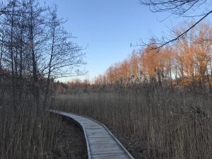 un camino de madera a través de un campo con árboles en Rooms Balkovec, en Dragatuš