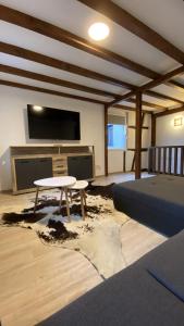 TV a/nebo společenská místnost v ubytování Sonnenlay Lounge - Studio & Ferienhaus