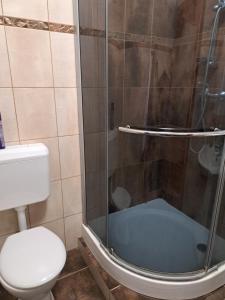 a bathroom with a toilet and a glass shower at Hőforrás Wellness Vendégház in Egerszalók
