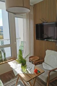 uma sala de estar com uma mesa de centro e uma grande janela em HEARTH HILL VIEW APARTMENT em Ustroń
