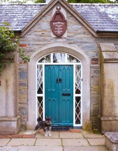 ストラングフォードにあるThe Alms House Strangfordの青い扉前に座る犬