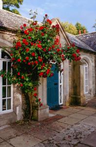 ストラングフォードにあるThe Alms House Strangfordの青い扉の前に赤い花を咲かせる家