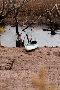 un barco sentado en la orilla de un cuerpo de agua en Rosetta Fields Country Lodge, en Henburg Park
