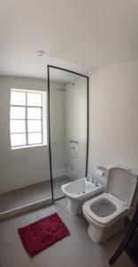 羅薩里奧的住宿－Hotel Casa Allegra Art Suites，浴室配有卫生间、盥洗盆和淋浴。