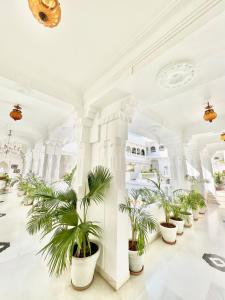 une grande chambre blanche avec des plantes en pot dans l'établissement Jagat Niwas Palace, à Udaipur