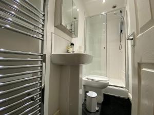 uma casa de banho com um WC, um lavatório e um chuveiro em Nice Living Serviced Accommodations 3 em Coventry